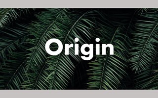 Origin